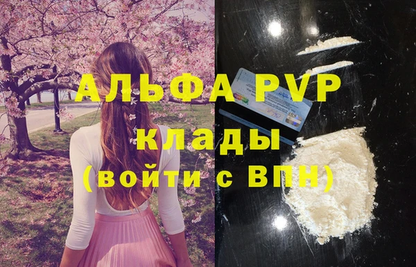 спиды Ростов