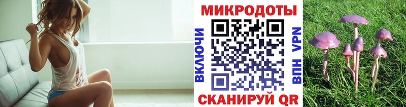 Галлюциногенные грибы Psilocybine cubensis  Инта 